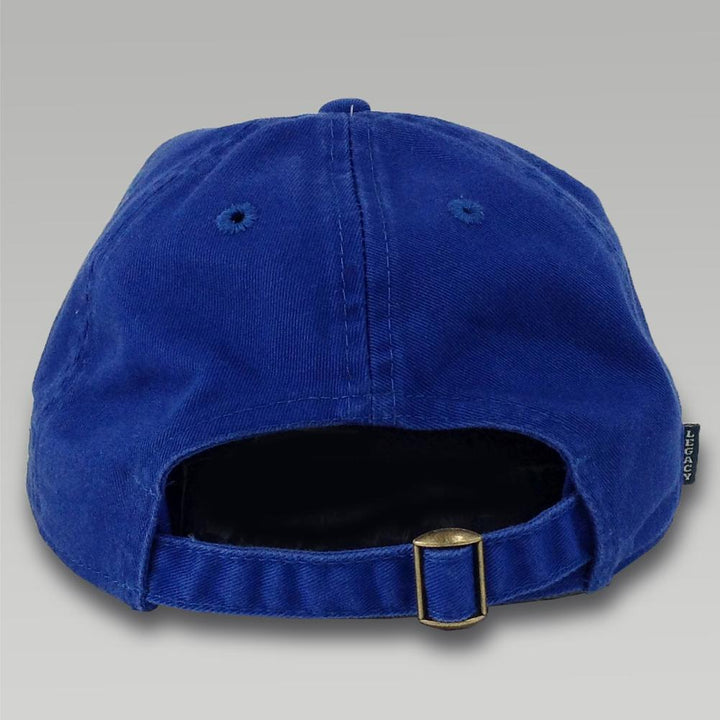 AIR FORCE WINGS VET HAT (ROYAL) 2